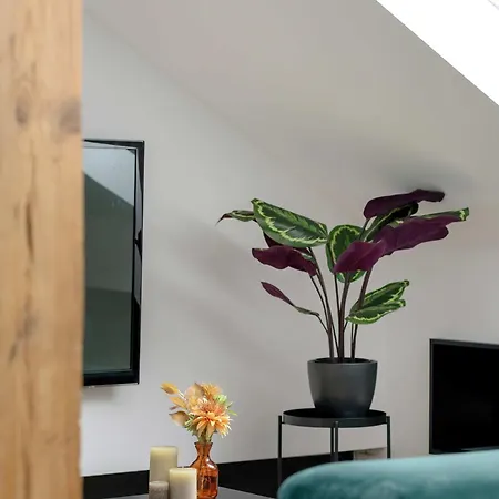 Lägenhet Przestronny W Tychach Dla Rodzin By Renters