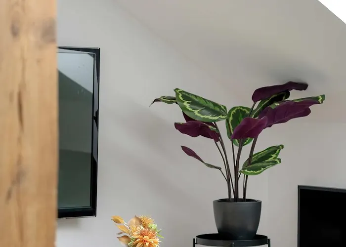 Apartmán Przestronny W Tychach Dla Rodzin By Renters